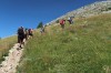 Proti vrhu